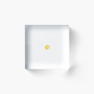 Acrylic Block – Original Pantone Small Size Icon